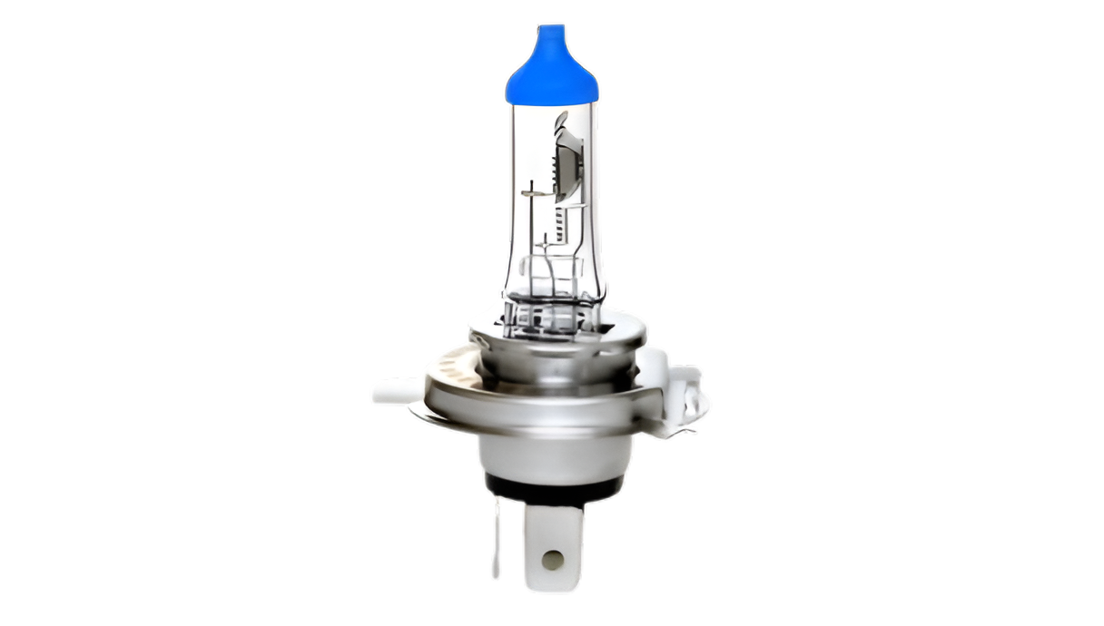 Halogen Bulb